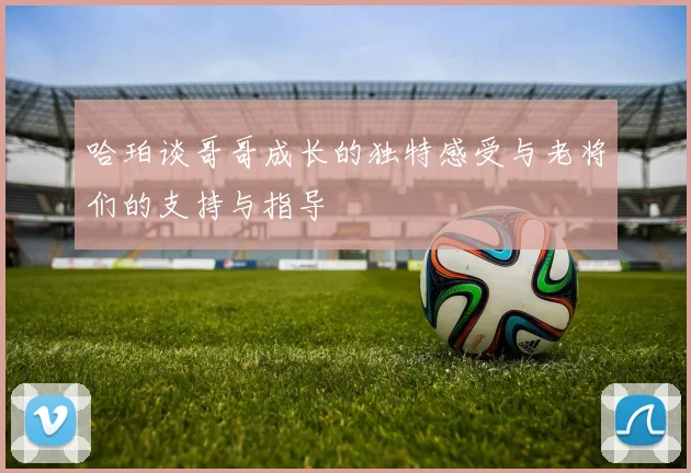 哈珀谈哥哥成长的独特感受与老将们的支持与指导