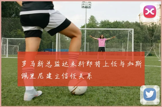 罗马新总监达米科即将上任与加斯佩里尼建立信任关系
